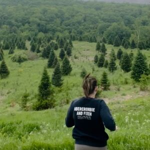 Abercrombie and fitch sweater, size medium.